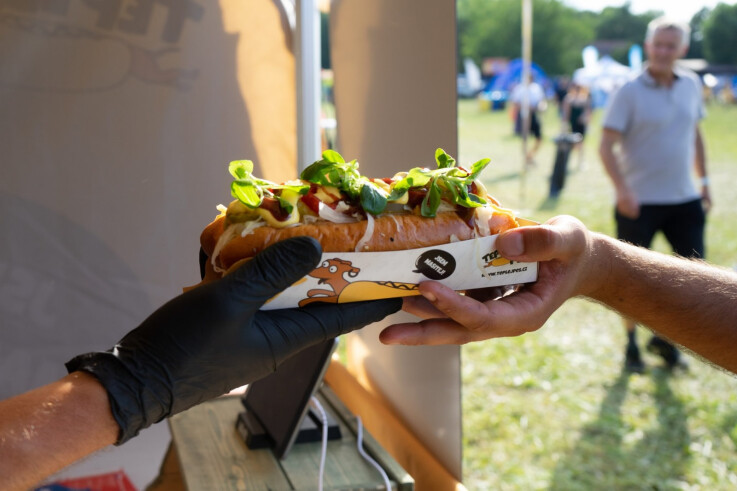 Festivaly, catering, oslavy